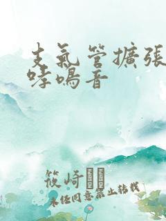 支气管扩张引起哮鸣音