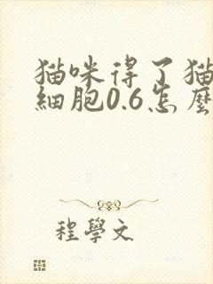 猫咪得了猫瘟白细胞0.6怎么办