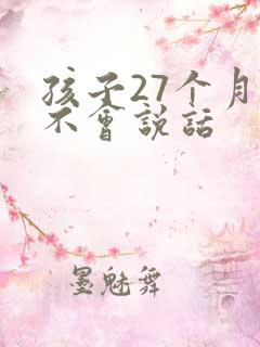 孩子27个月还不会说话