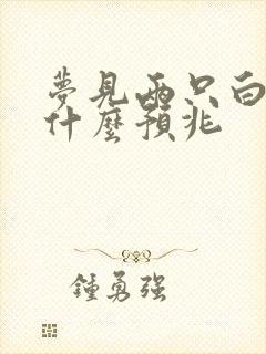 梦见两只白兔子什么预兆