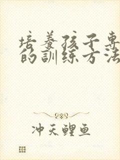 培养孩子专注力的训练方法培训班