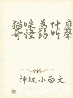 猫咪为什么发出奇怪的叫声