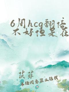 6周hcg翻倍不好但是在涨有希望么