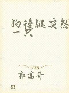 狗后腿突然瘸了一只