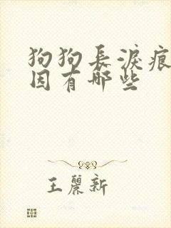 狗狗长泪痕的原因有哪些