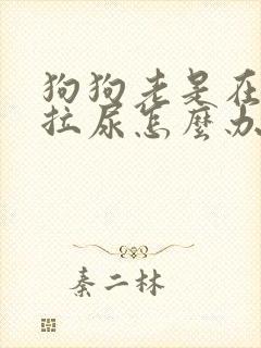 狗狗老是在家乱拉尿怎么办