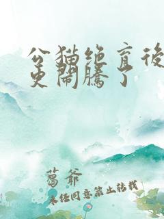 公猫绝育后怎么更闹腾了