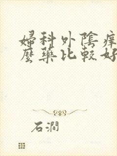 妇科外阴痒用什么药比较好效果快