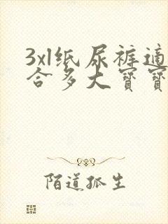 3xl纸尿裤适合多大宝宝穿