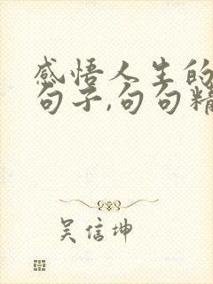 感悟人生的哲理句子,句句精辟