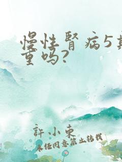 慢性肾病5期严重吗?