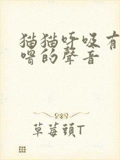 猫猫呼吸有呼噜噜的声音