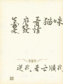 怎么看猫咪是不是发情