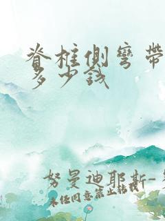 脊椎侧弯带支具多少钱