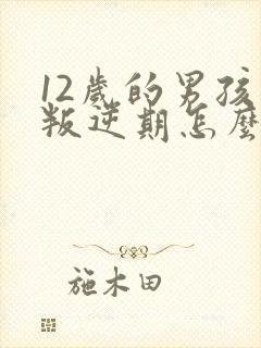 12岁的男孩子叛逆期怎么办