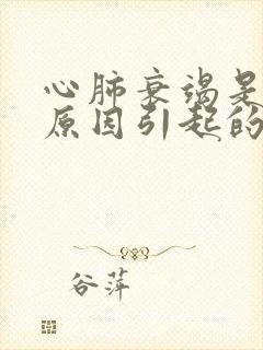 心肺衰竭是什么原因引起的