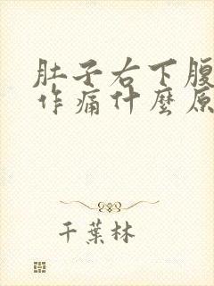 肚子右下腹隐隐作痛什么原因女性