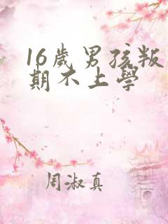 16岁男孩叛逆期不上学