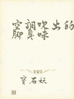 空调吹出的风有脚臭味