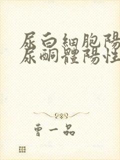 尿白细胞阳性,尿酮体阳性