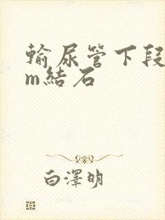 输尿管下段6mm结石