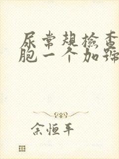 尿常规检查白细胞一个加号严重吗