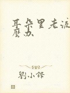 耳朵里老流脓怎么办