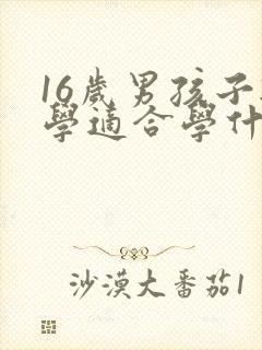 16岁男孩子辍学适合学什么技术呢