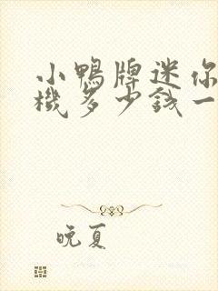 小鸭牌迷你洗衣机多少钱一台