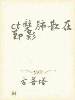 ct双肺散在结节影