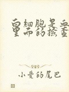 白细胞是血常规里面的检查项目吗