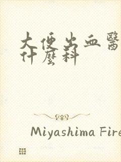 大便出血医院挂什么科