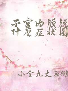 子宫内膜脱落是什么症状图片