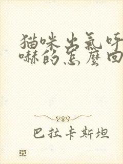 猫咪出气呼哧呼哧的怎么回事