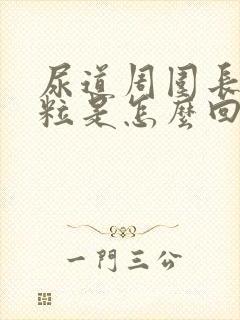 尿道周围长小颗粒是怎么回事