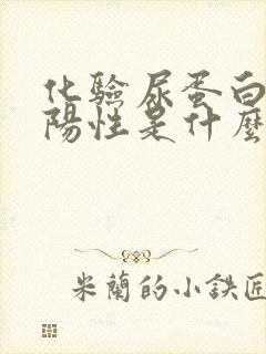 化验尿蛋白质弱阳性是什么意思