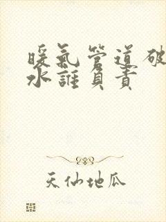 暖气管道破裂漏水谁负责