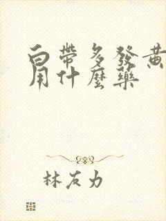 白带多发黄腥臭用什么药