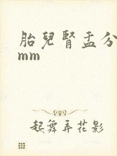 胎儿肾盂分离5mm