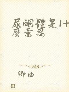 尿酮体是1+什么意思