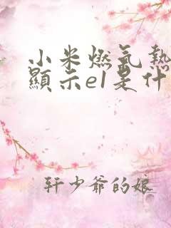 小米燃气热水器显示e1是什么故障