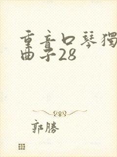 重音口琴独奏的曲子28