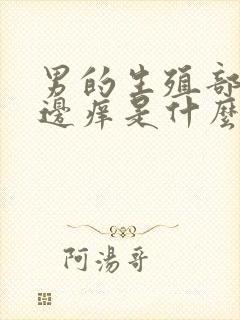 男的生殖部位旁边痒是什么原因