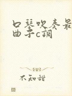 口琴吹奏最好听曲子c调