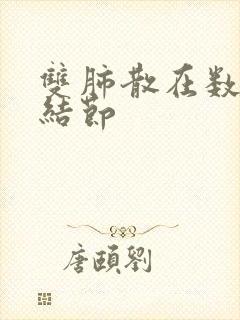 双肺散在数个小结节