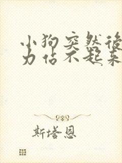 小狗突然后腿无力站不起来抽搐