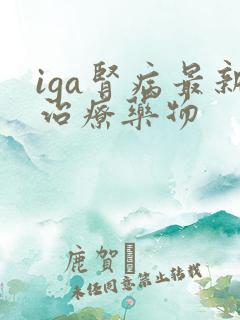 iga肾病最新治疗药物