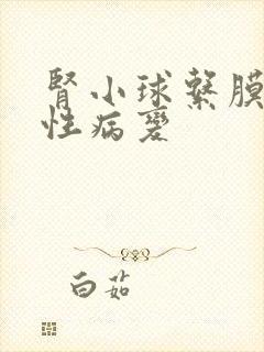 肾小球系膜增生性病变