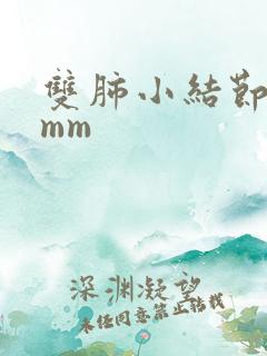 双肺小结节影3mm