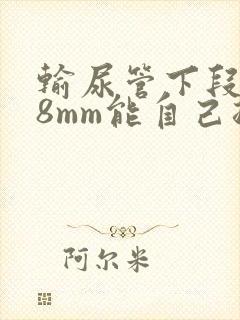 输尿管下段结石8mm能自己排出来吗